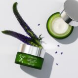 488583496_1135131025295870_772015519996205300_n