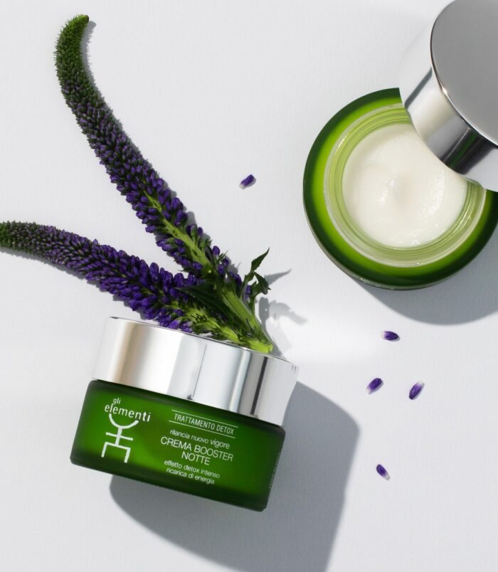 488583496_1135131025295870_772015519996205300_n