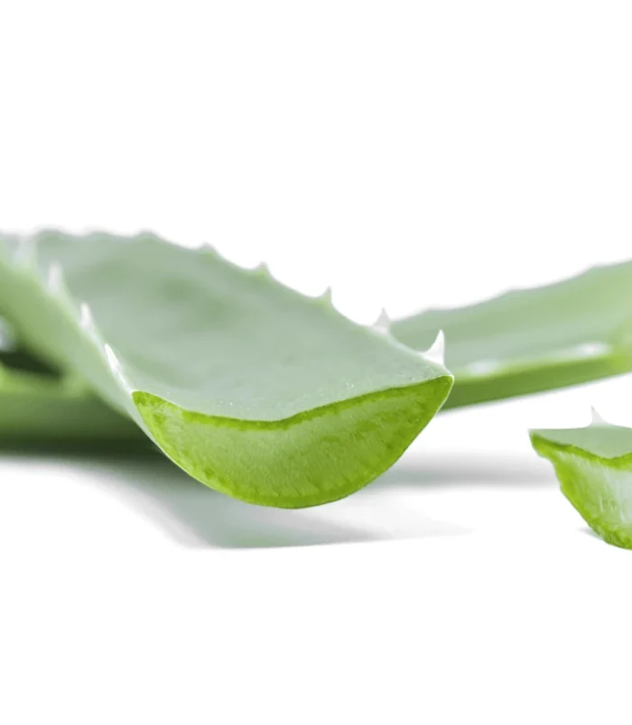 9120064113278-1 9120064113278-1