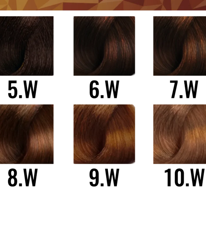 CALIDOS-1024x835 CALIDOS-1024x835