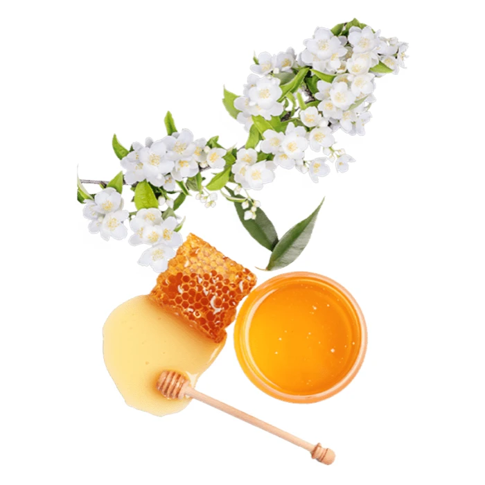 0633911853108-2 0633911853108-2