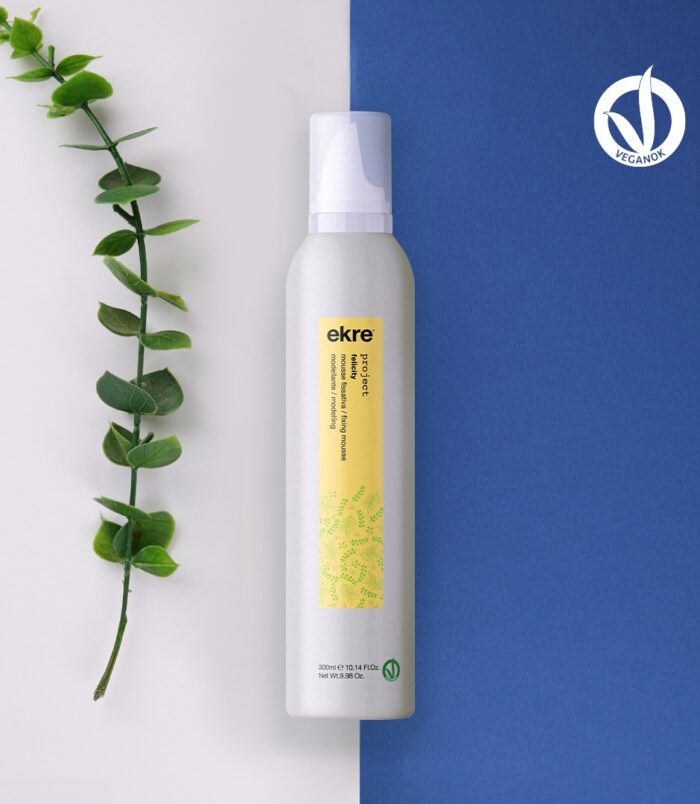 492136267_1258513882951092_7526994433474260817_n