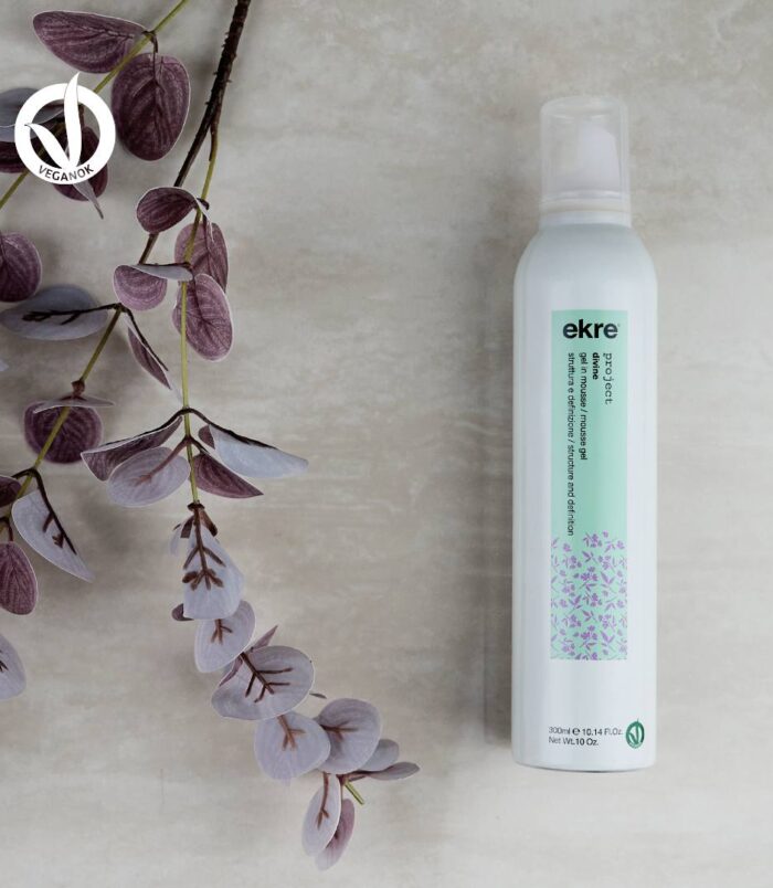 492408075_1258038036332010_4068000502769374370_n 492408075_1258038036332010_4068000502769374370_n