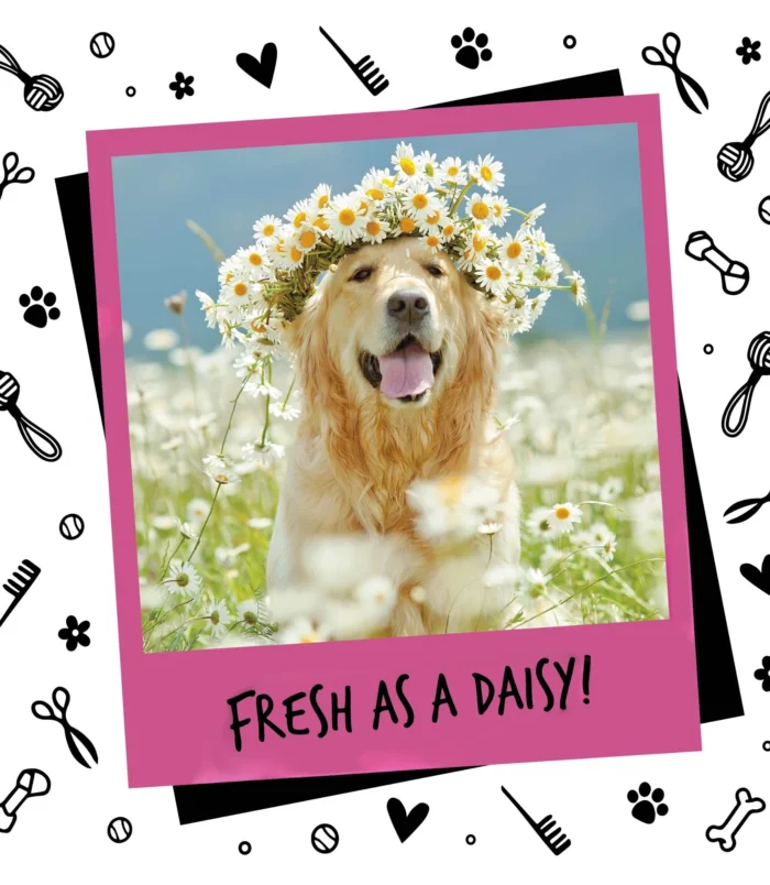 5056176244415-3 5056176244415-3