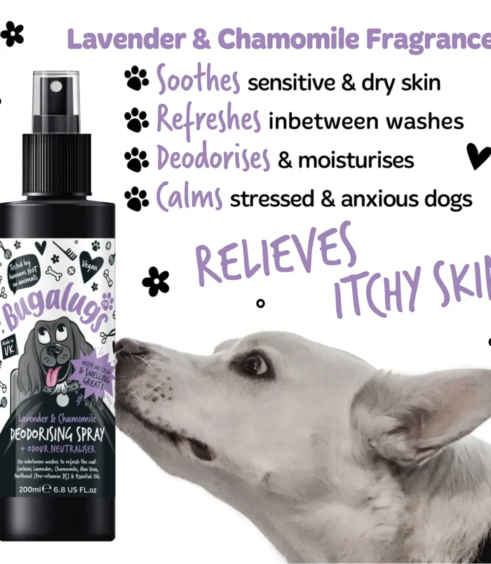 5056176297381-2 5056176297381-2