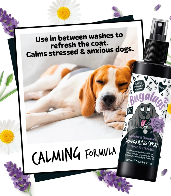 5056176297381-3 5056176297381-3