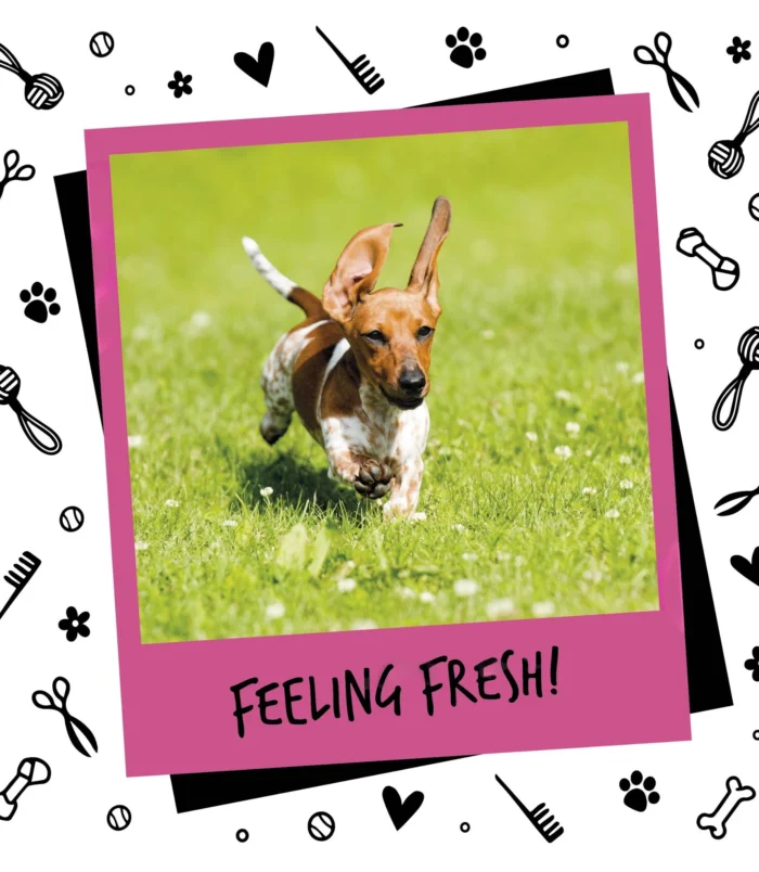 5056176297732-2 5056176297732-2