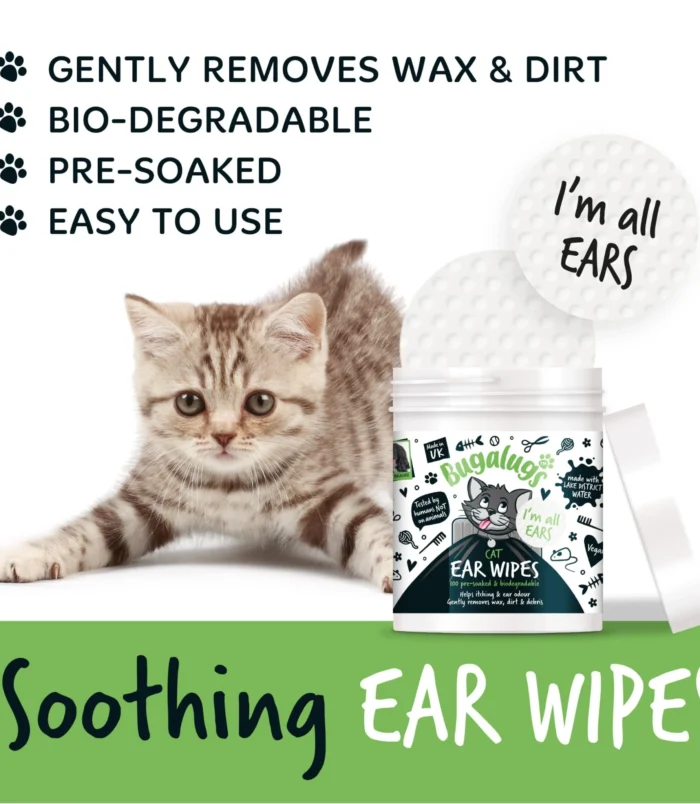 5056176299361-1 5056176299361-1