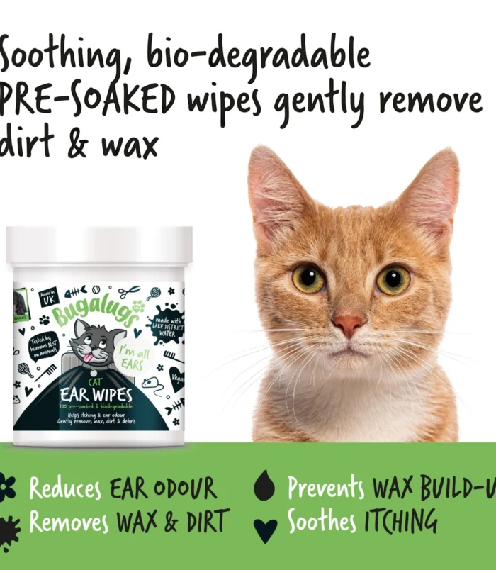 5056176299361-2 5056176299361-2