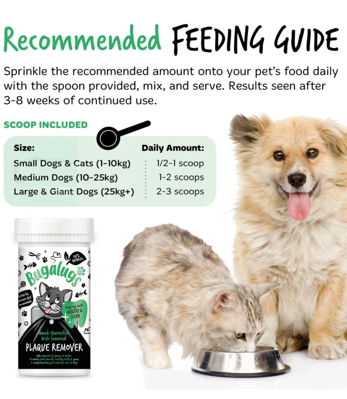 5056176299422-2 5056176299422-2