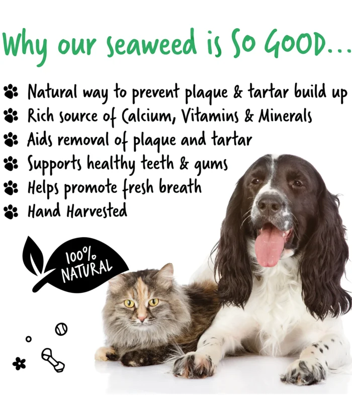 5056176299422-3 5056176299422-3