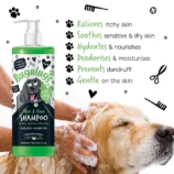 Aloe-and-Kiwi-Dog-Shampoo-Key-Points