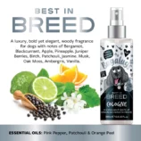 Best-in-Breed-Cologne-Ingredients
