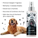 Best-in-Breed-Cologne-Key-Points