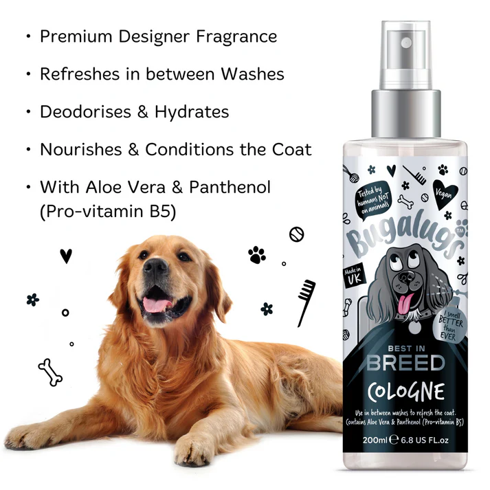 Best-in-Breed-Cologne-Key-Points Best-in-Breed-Cologne-Key-Points