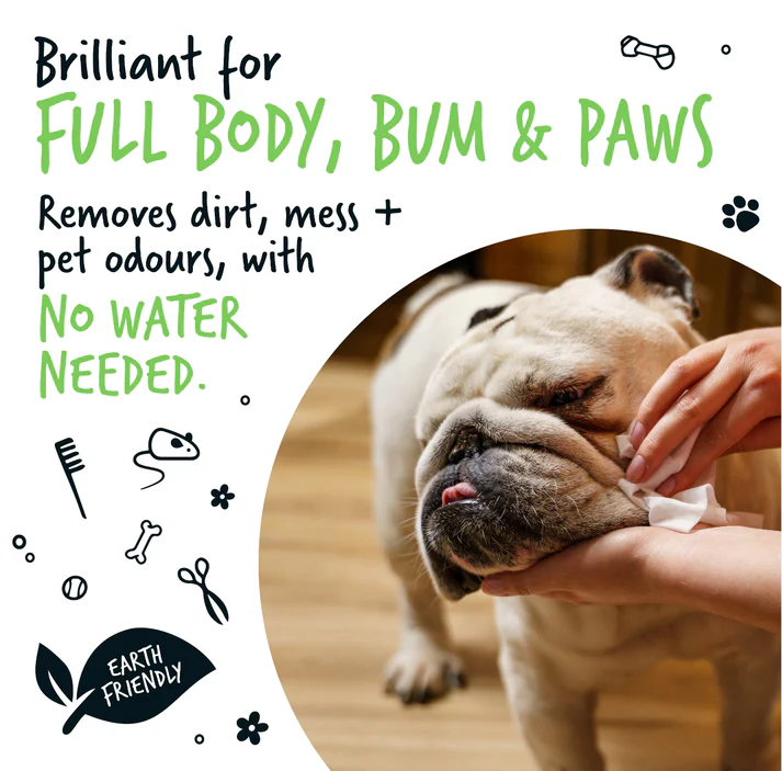 Bugalugs-110-Fragrance-Free-PET-Wipes-Brilliant-forg Bugalugs-110-Fragrance-Free-PET-Wipes-Brilliant-forg