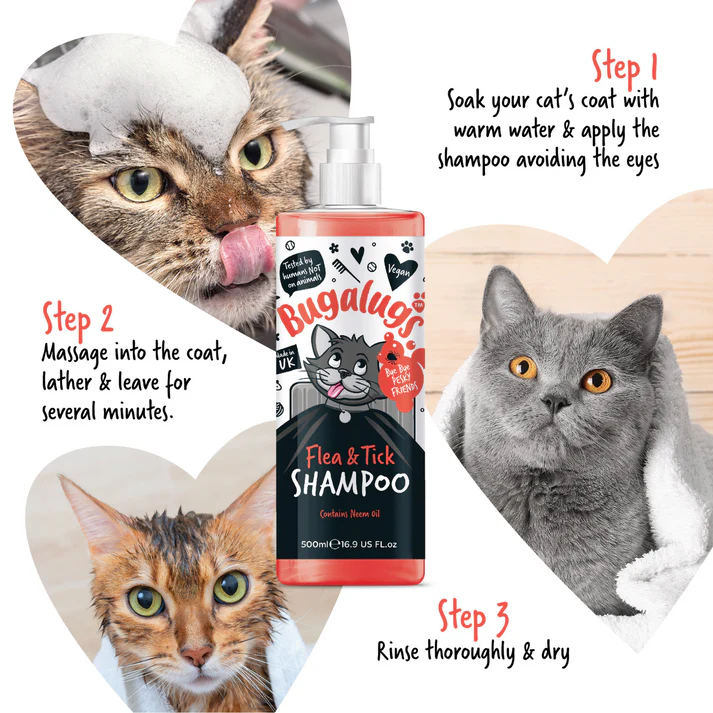 Cat-Flea-and-Tick-Shampoo-How-To-Use Cat-Flea-and-Tick-Shampoo-How-To-Use