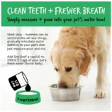 Dental-Care-Solution-Fresher-Breath