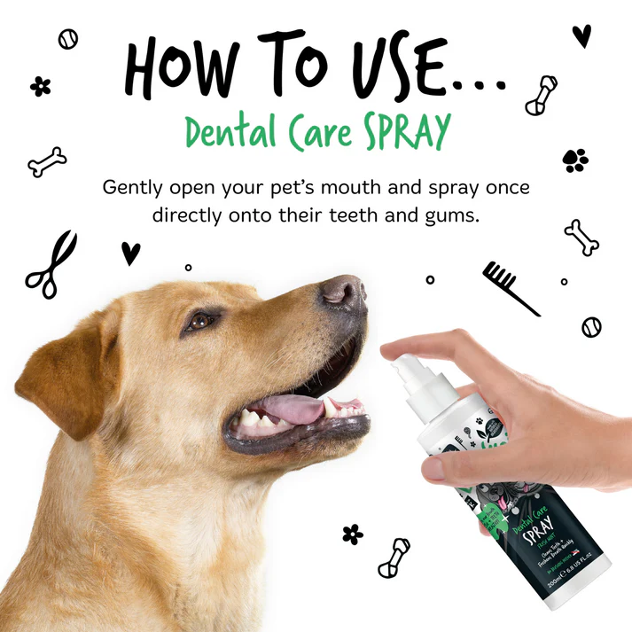 Dental-Spray-How-To-Use Dental-Spray-How-To-Use