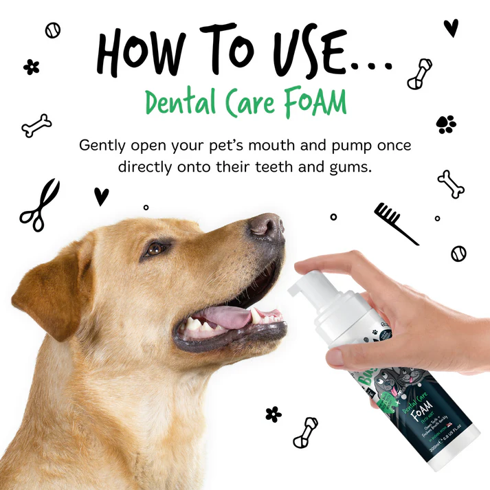 How-To-Use-Dental-Foam How-To-Use-Dental-Foam