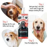 How-to-use-flea-tick-shampoo-for-dogs