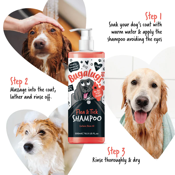 How-to-use-flea-tick-shampoo-for-dogs How-to-use-flea-tick-shampoo-for-dogs