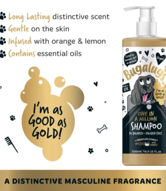 one-in-a-million-key-points