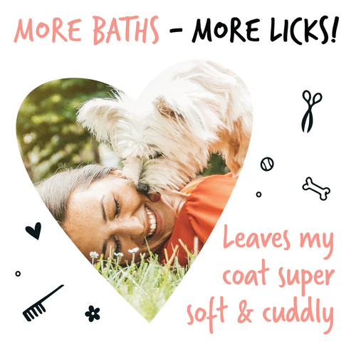 papaya-conditioner-more-licks-100 papaya-conditioner-more-licks-100