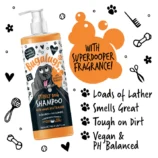 stinky-dog-shampoo-key-points