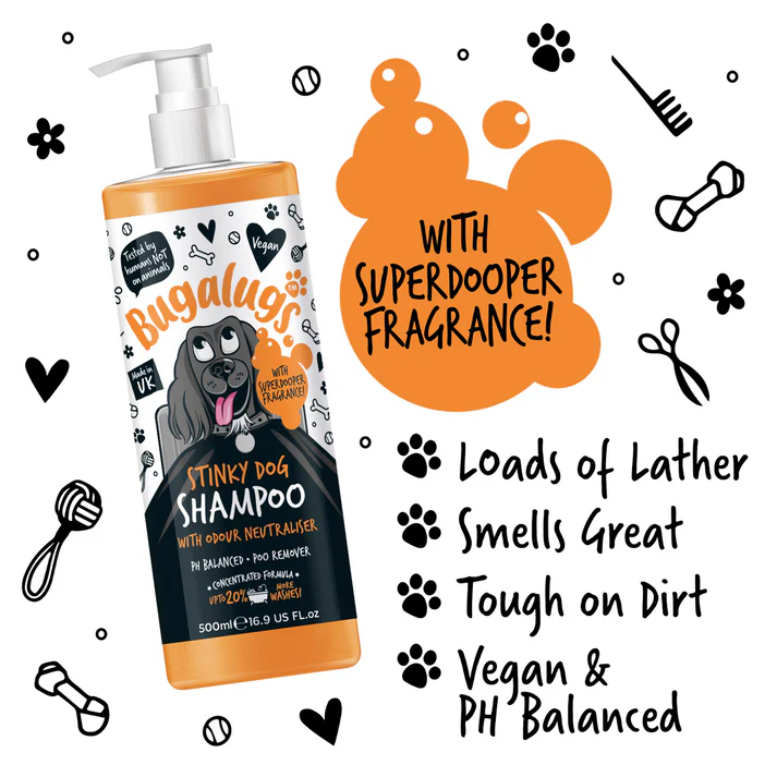 stinky-dog-shampoo-key-points stinky-dog-shampoo-key-points